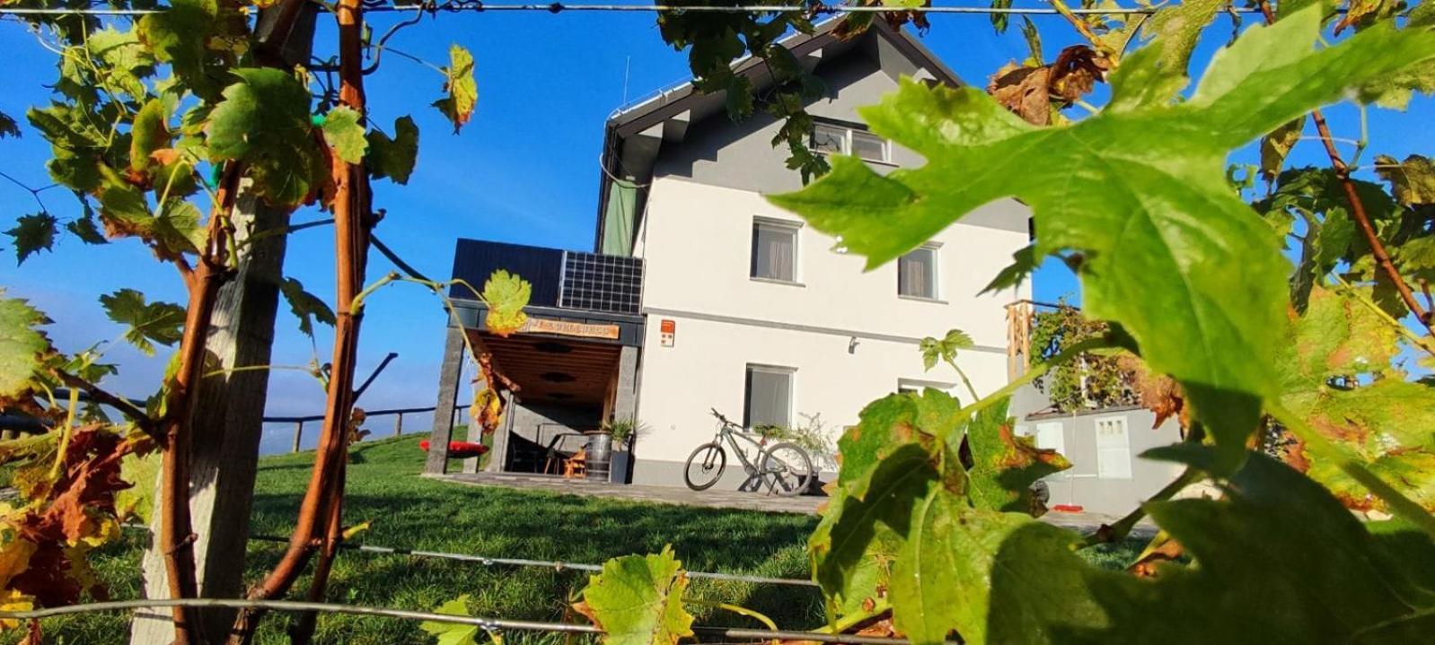 Apartmaji Gracner Dramlje Ngoại thất bức ảnh